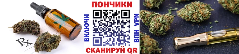 Canna-Cookies конопля  продажа наркотиков  Дубна 