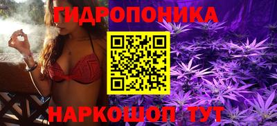 дурь Будённовск